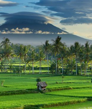 How to spend 48 hours in Canggu, Bali