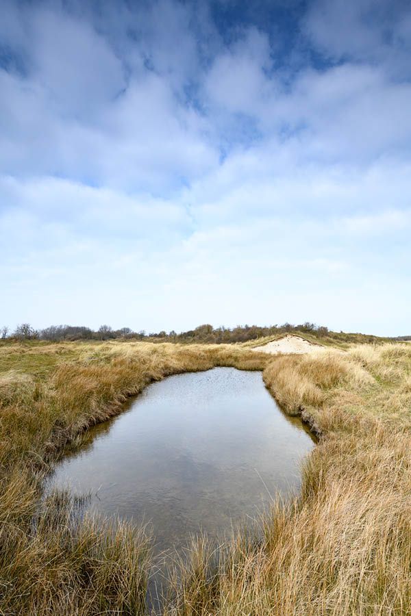 Holland
