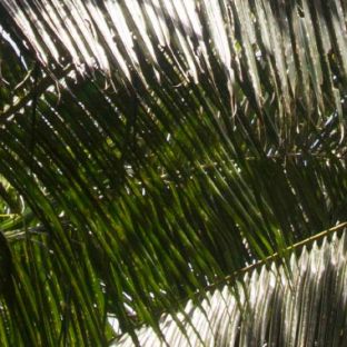 Samoa