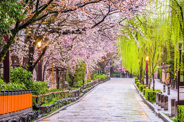 Kyoto's Gion district