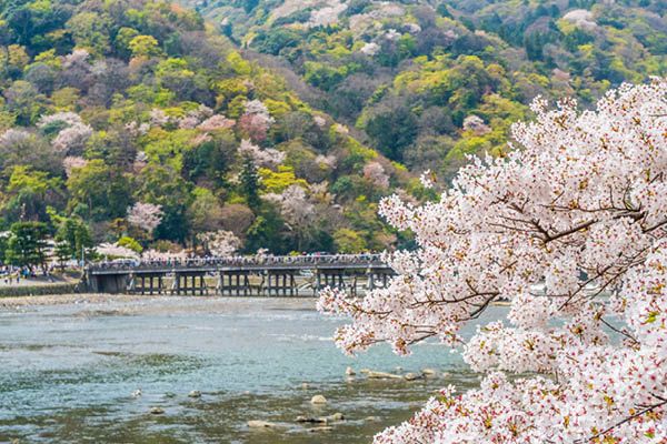 Arashiyama