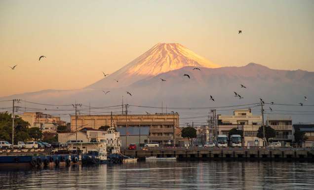 8 Ways to experience Mt Fuji without hiking