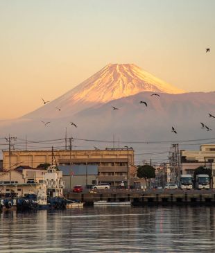 8 Ways to experience Mt Fuji without hiking
