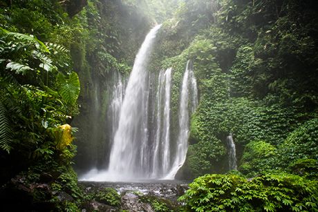 Air Terjun Tiu Kelep waterfall, Senaru, Lombok