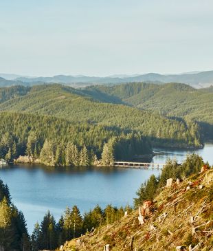 Oregon’s three best food trails