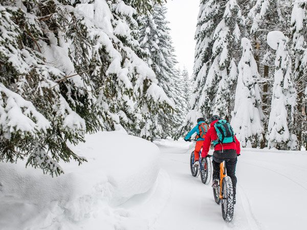 Man and woman riding their fat bikes on snowy forest trail.