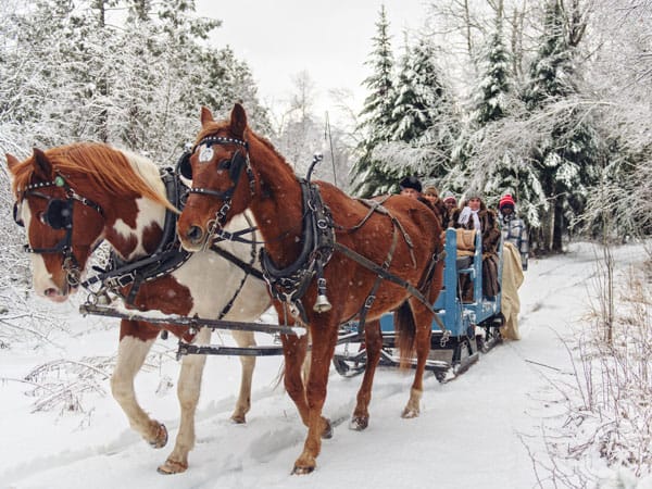Try a horse-drawn sleigh ride to Lake Lauenen.