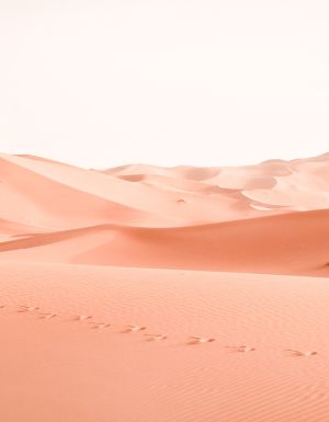 Unmapped: Where luxury and adventure meet