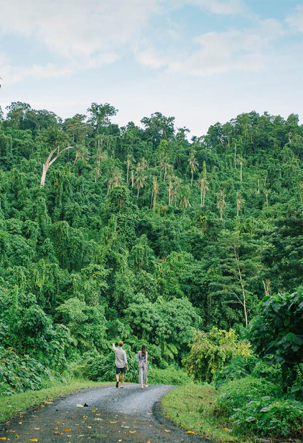Samoa Eco Trekking