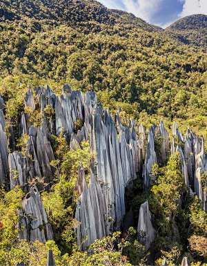 The ultimate Gunung Mulu National Park travel guide