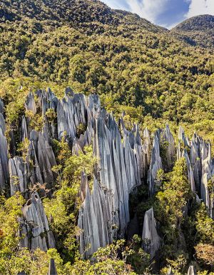 The ultimate Gunung Mulu National Park travel guide