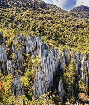The ultimate Gunung Mulu National Park travel guide