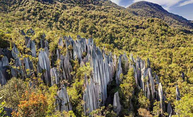 The ultimate Gunung Mulu National Park travel guide