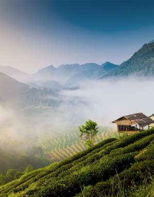 How to spend 48 hours in Chiang Mai