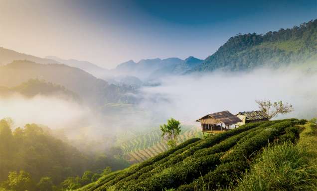 How to spend 48 hours in Chiang Mai