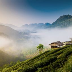 How to spend 48 hours in Chiang Mai