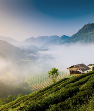 How to spend 48 hours in Chiang Mai