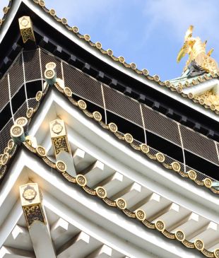 7 ways to enjoy Osaka Castle in the winter