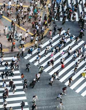 Shibuya Crossing