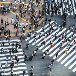 Shibuya Crossing