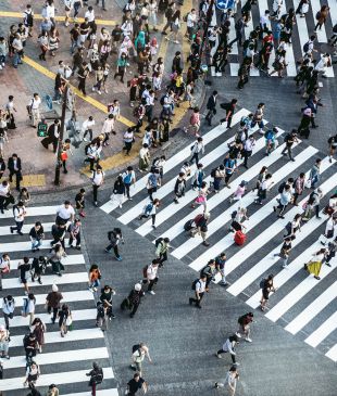 24 hours in Tokyo: your hour-by-hour guide