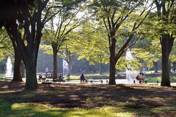 Yoyogi park