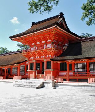 5 Kyushu experiences you don’t want to miss