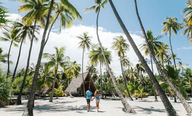 Islands of Aloha: which Hawaiian Island is right for you?