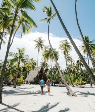Islands of Aloha: which Hawaiian Island is right for you?