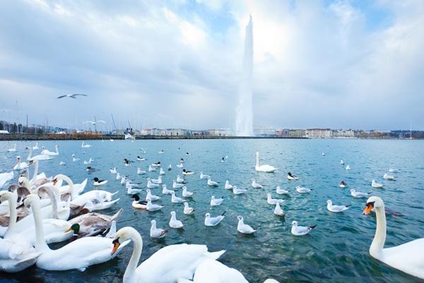 Lake Geneva