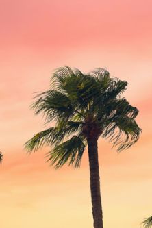 California