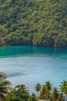 Caribbean