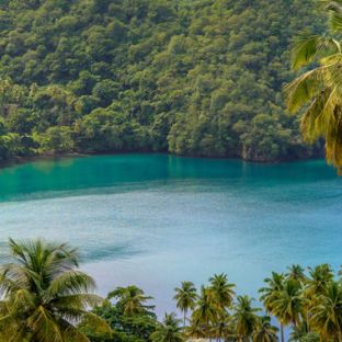 Caribbean