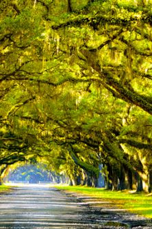 Louisiana