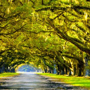Louisiana