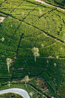 Sri Lanka