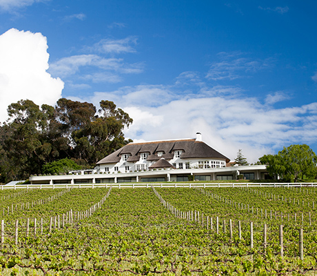 Mont Rochelle view of vineyards