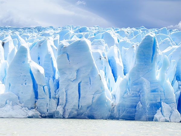 Torres Del Paine Grey Glacier