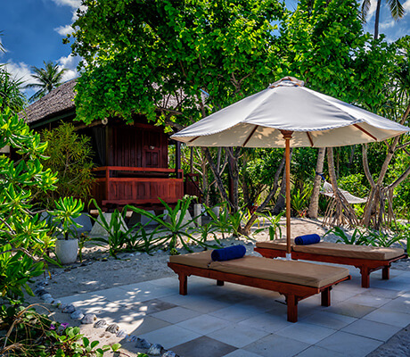 Waaktobi Oceanfront Bungalow