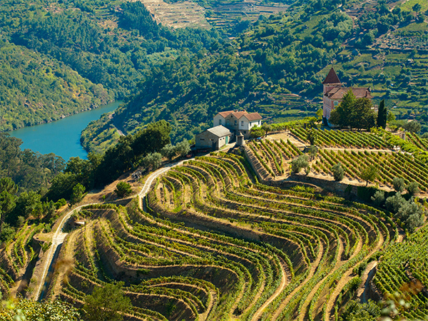 Porto's abundant Douro Valley surroundings