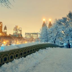 New York City Christmas