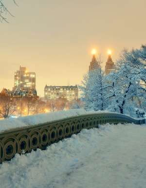 New York City Christmas