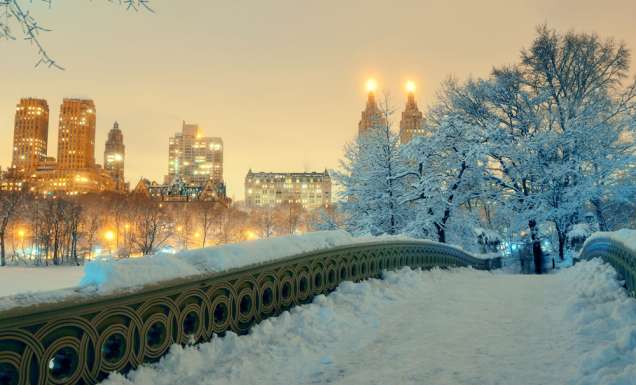 New York City Christmas