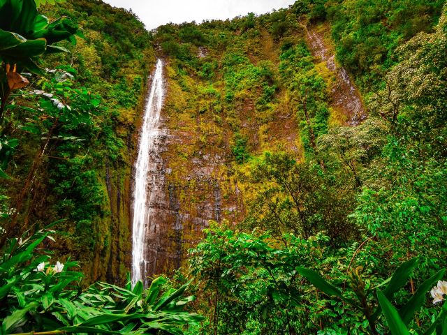 Waimoku Falls at Pīpīwai trail in Maui