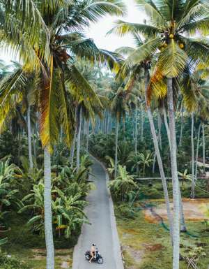 solo travel Bali