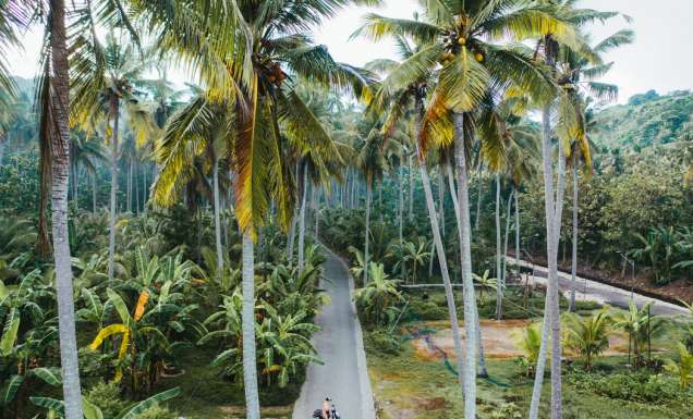 solo travel Bali