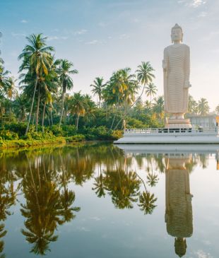 Authentic Sri Lanka with Beyond Dream