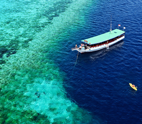 Wakatobi Reef Cruise