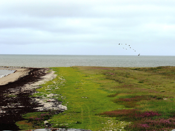 Summer in Churchill
