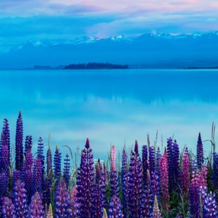 New Zealand